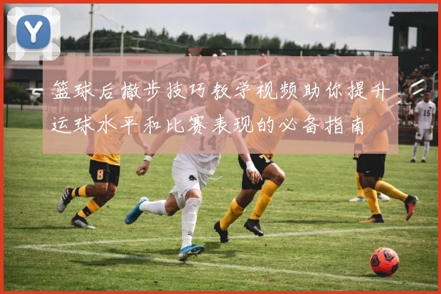 篮球后撤步技巧教学视频助你提升运球水平和比赛表现的必备指南