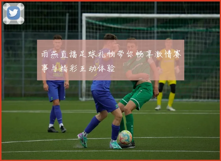 雨燕直播足球礼物带你畅享激情赛事与精彩互动体验