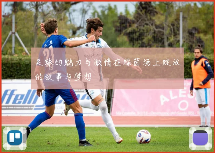 足球的魅力与激情在绿茵场上绽放的故事与梦想